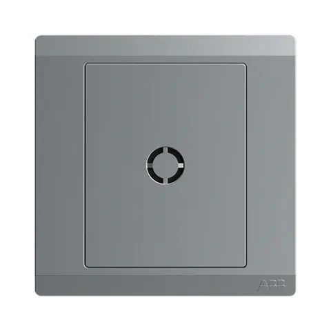 ABB Flex outlet, Inora BL120-G, 20A — 2TCZ171099R2270
