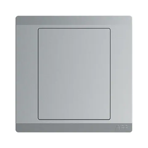 ABB Blank plate, Inora BL504-G, 1-gang — 2TCZ175001R2210