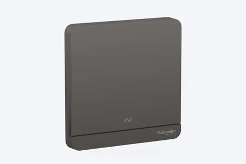 مفتاح كهربائي شنايدر AvatarOn، 2P، 45 أمبير، مع مؤشر ضوئي، رمادي داكن — E8331D45N_DG