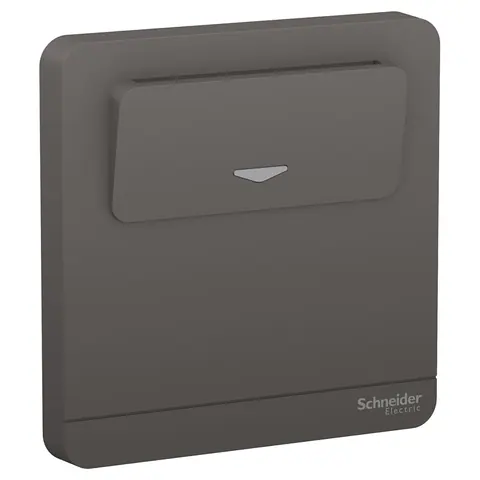 Schneider Electric Card switch, AvatarOn, complete product, dark grey — E8331EKT_DG