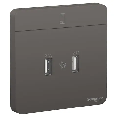 شاحن USB شنايدر AvatarOn، رمادي داكن — E8332USB_DG
